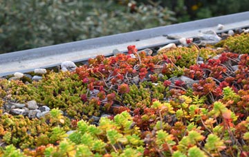 the cost of Podington green roof installation