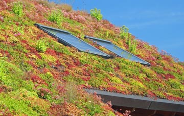 Podington living roof systems