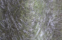 Podington fibreglass roof work